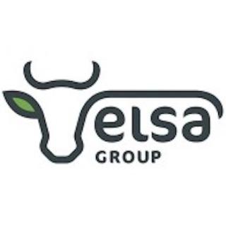 Elsa Group
