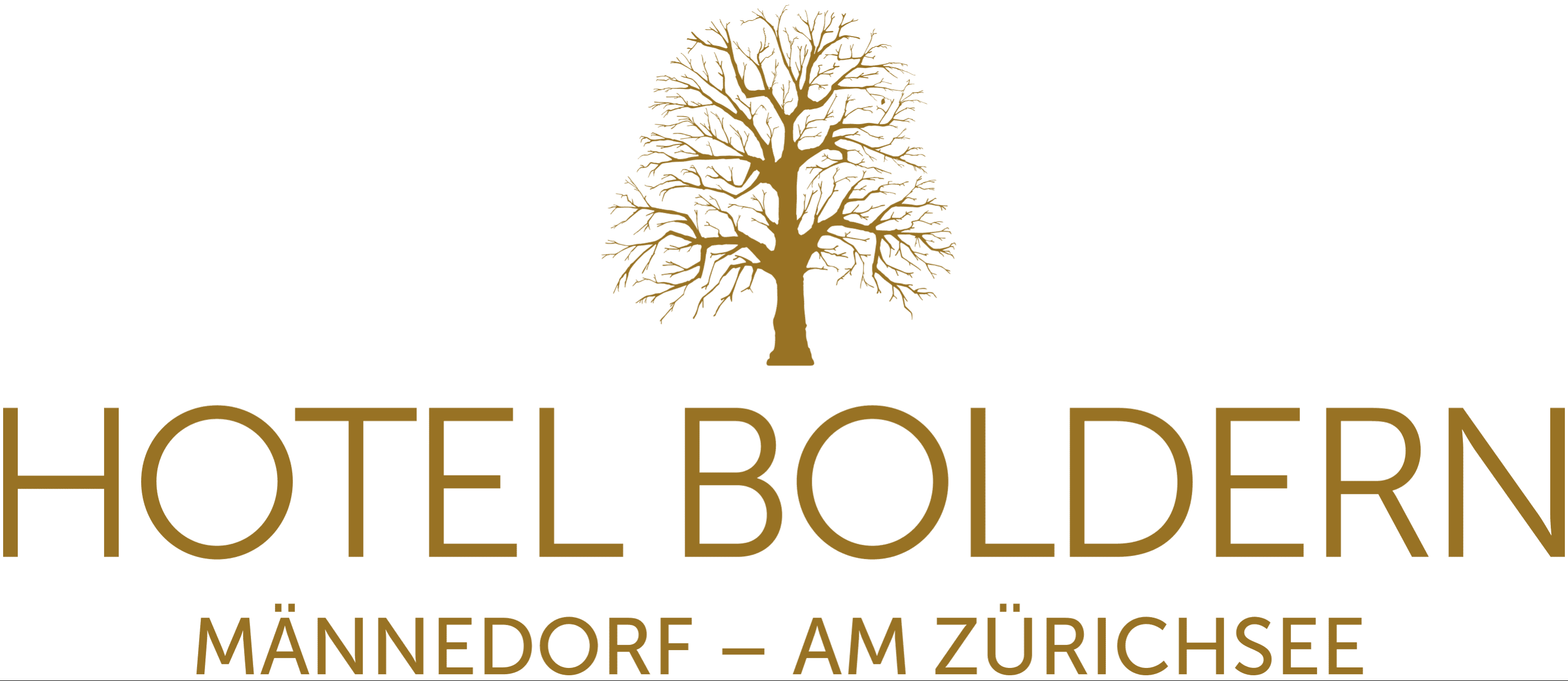 Hotel Boldern AG