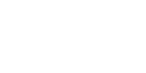 FMH Consulting Services AG