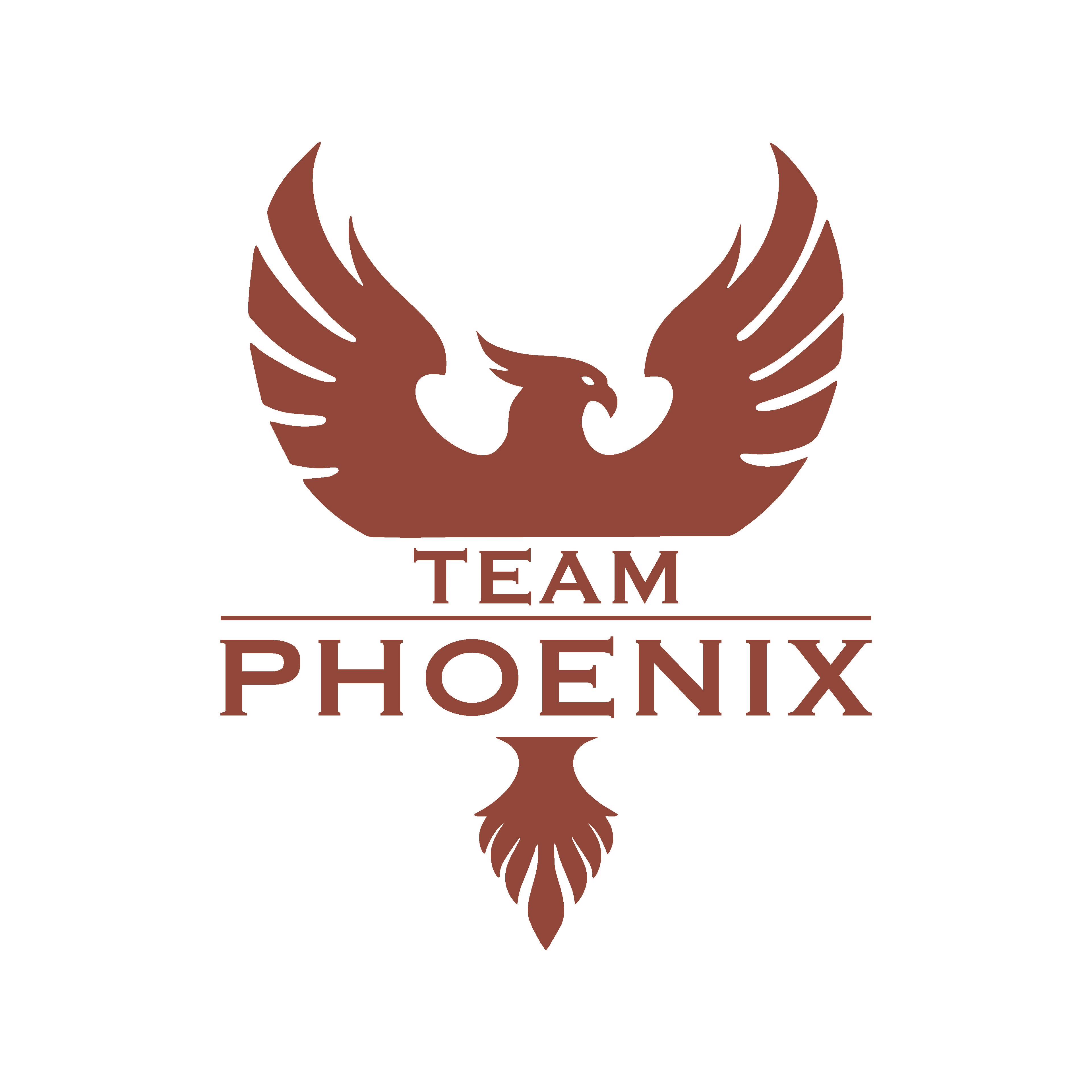 Team Phoenix Sportphysiotherapie GmbH